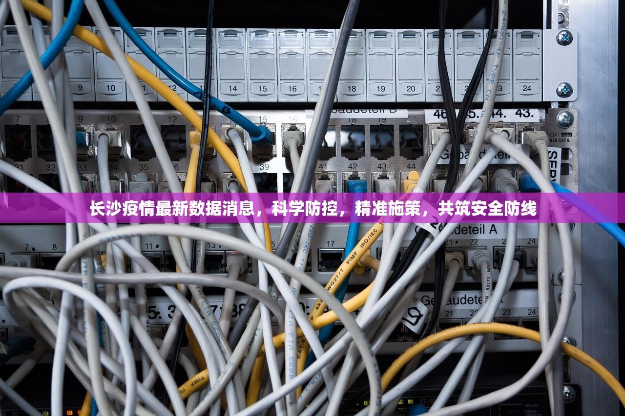 陕西当前最新疫情，精准防控下的稳定局面与民生保障