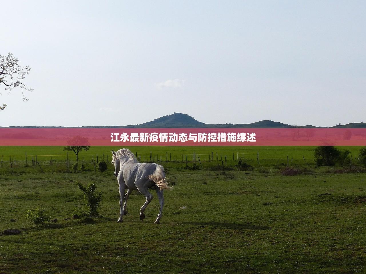 植物大战僵尸2新手攻略，从零开始打造你的植物军团