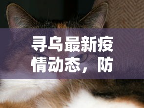 寻乌最新疫情动态，防控成效显著，但仍需保持警惕