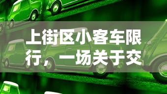 上街区小客车限行，一场关于交通优化与环保的深思