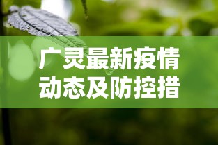 最新疫情辛集，全面防控与民生保障并重的挑战与应对