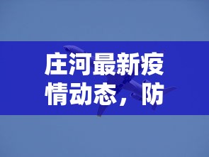 庄河最新疫情动态，防控措施升级，市民生活有序进行