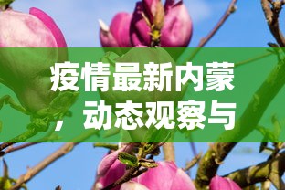 疫情最新内蒙，动态观察与应对策略