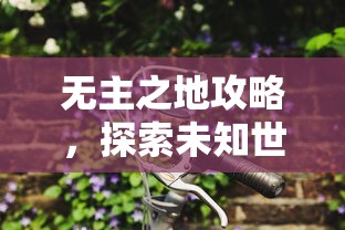 无主之地攻略，探索未知世界的生存指南