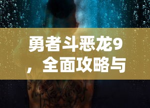 勇者斗恶龙9，全面攻略与图文详解