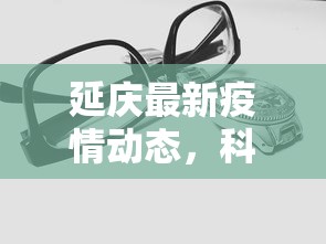 延庆最新疫情动态，科学防控，共筑安全防线