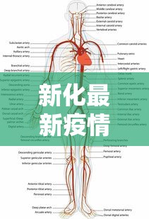 新化最新疫情动态，科学防控，共筑健康防线