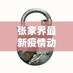 合肥疫情最新，防控措施与民生保障并行