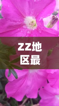 一分钟普及“微信炸金花房卡购买步骤”链接找谁买