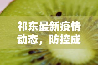 祁东最新疫情动态，防控成效显著，全民共筑健康防线