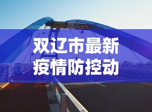 双辽市最新疫情防控动态与应对策略