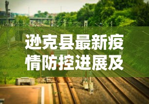 24号河南限行通知，详解限行政策与影响