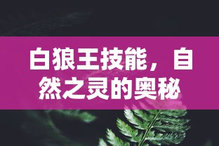 经验分享“高速大厅房卡怎么买”链接教程