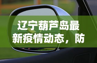 辽宁葫芦岛最新疫情动态，防控成效显著，经济复苏稳步前行