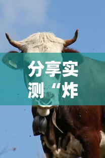 分享实测“炸金花牛牛群微信-链接找谁买