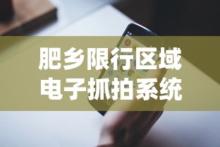 肥乡限行区域电子抓拍系统详解