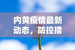 岳阳疫情最新，防控措施与民生保障并行