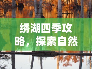 绣湖四季攻略，探索自然之美，领略四季风情