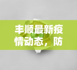 丰顺最新疫情动态，防控成效显著，但仍需保持警惕