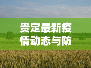 贵定最新疫情动态与防控措施