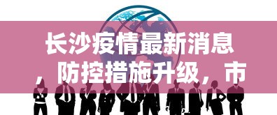 长沙疫情最新消息，防控措施升级，市民生活有序进行