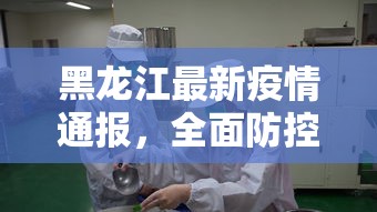 黑龙江最新疫情通报，全面防控，科学施策，共筑安全防线