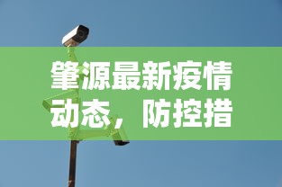 最新疫情梧州，防控措施与民生保障的双重挑战