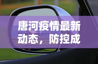 唐河疫情最新动态，防控成效显著，经济复苏稳步前行