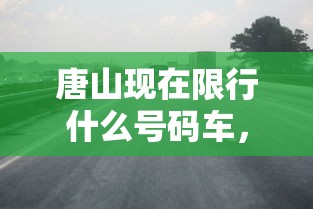 唐山现在限行什么号码车，政策解读与影响分析