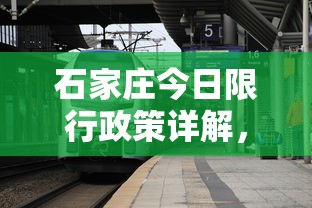 石家庄今日限行政策详解，无号限制背后的交通管理智慧