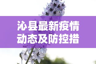 沁县最新疫情动态及防控措施