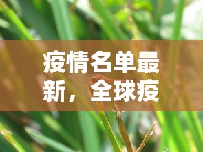 疫情名单最新，全球疫情动态与防控措施分析