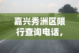 嘉兴秀洲区限行查询电话，掌握实时交通信息，便捷出行新选择