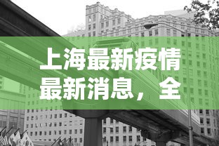 上海最新疫情最新消息，全面防控下的城市复苏与挑战