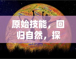 原始技能，回归自然，探索人类本源的智慧