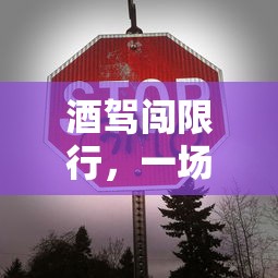 酒驾闯限行，一场关于生命与法律的警示