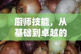 厨师技能，从基础到卓越的烹饪艺术