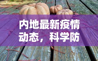 内地最新疫情动态，科学防控与民生保障并重的应对策略