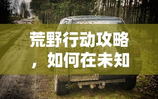 荒野行动攻略，如何在未知之地生存与探索