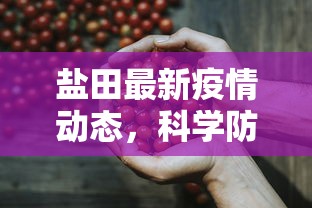 盐田最新疫情动态，科学防控下的稳定局面与公众健康意识的提升