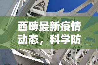 西畴最新疫情动态，科学防控，共筑安全防线