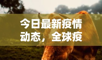 今日最新疫情动态，全球疫情持续演变，各国应对策略与民众生活影响