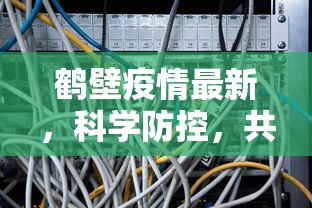 鹤壁疫情最新，科学防控，共筑安全防线