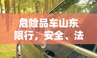 危险品车山东限行，安全、法规与经济发展的平衡