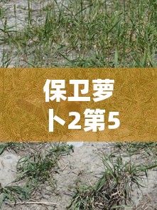 保卫萝卜2第54关攻略，策略与技巧的深度解析