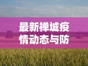 最新禅城疫情动态与防控措施解析