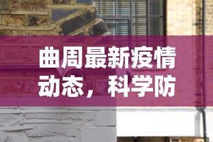 曲周最新疫情动态，科学防控，共筑安全防线