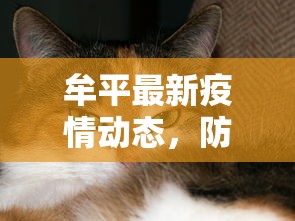 给大家普及“微信房卡炸金花链接房卡”链接教程