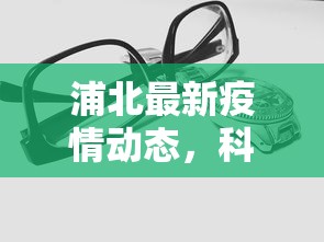 浦北最新疫情动态，科学防控，共筑安全防线