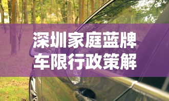 深圳家庭蓝牌车限行政策解析与影响